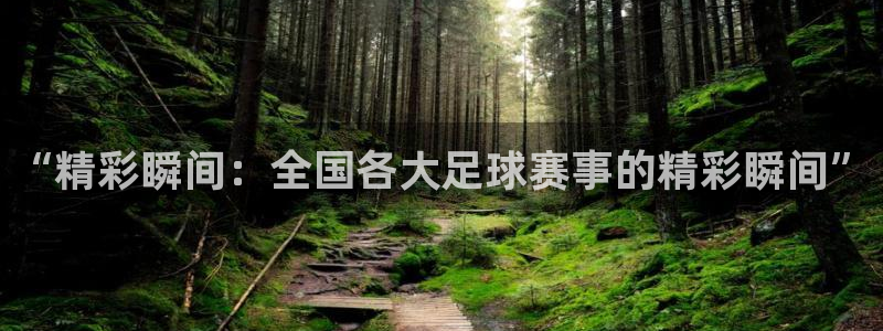 看球直播龙门直播：“精彩瞬间：全国各大足球赛事的精彩瞬间”